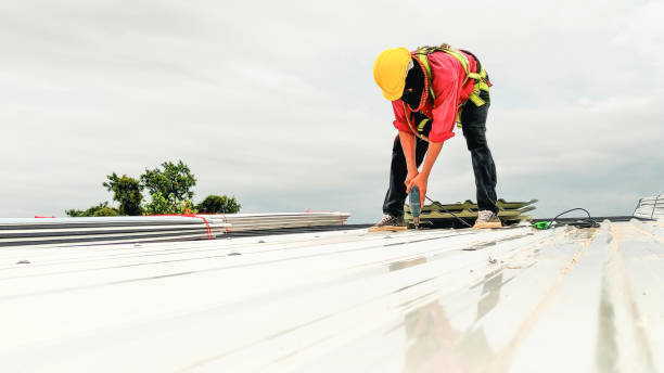 Best Gutter Installation and Repair  in Bryn Mawr, PA