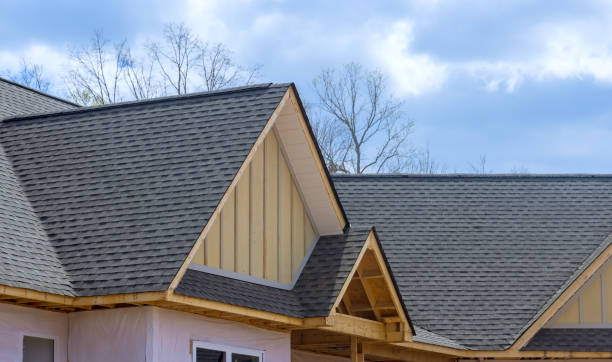 Best Roof Moss and Algae Removal  in Bryn Mawr, PA