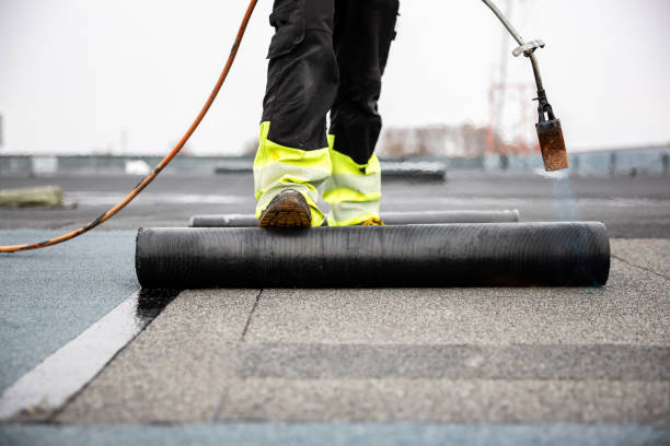Best Roof Maintenance and Cleaning  in Bryn Mawr, PA