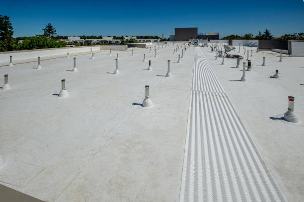 Best Rubber Roofing (EPDM, TPO)  in Bryn Mawr, PA